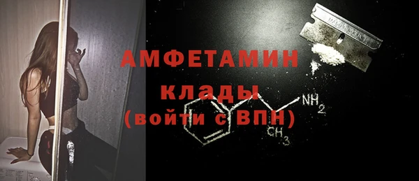 соль ск Ветлуга