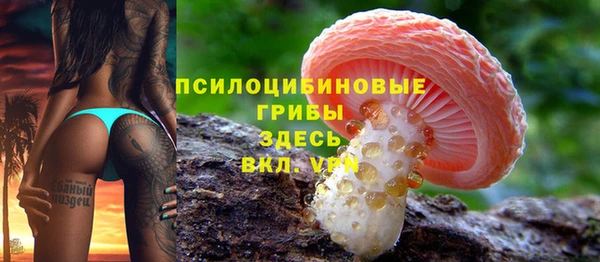 2c-b Пересвет