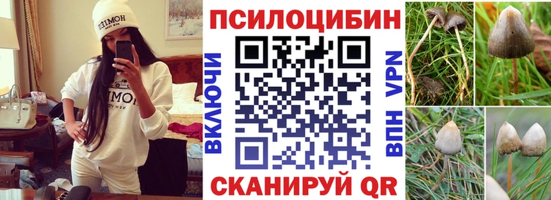 Псилоцибиновые грибы MAGIC MUSHROOMS  Борисоглебск 