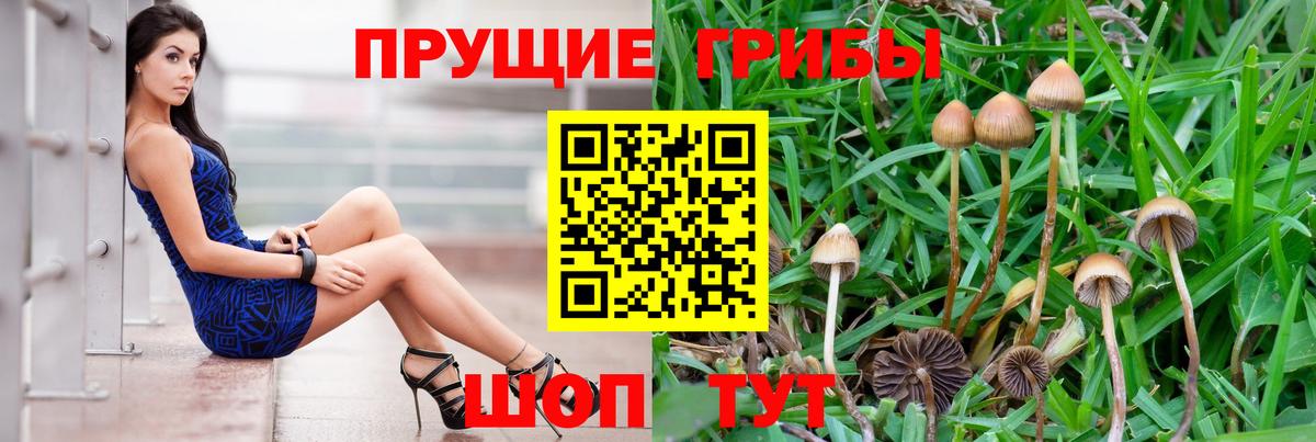 Псилоцибиновые грибы мухоморы  Вход с VPN  Борисоглебск 