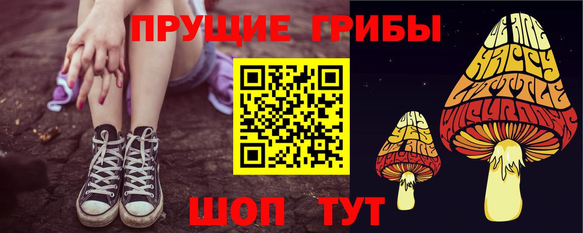 Псилоцибиновые грибы Cubensis Борисоглебск